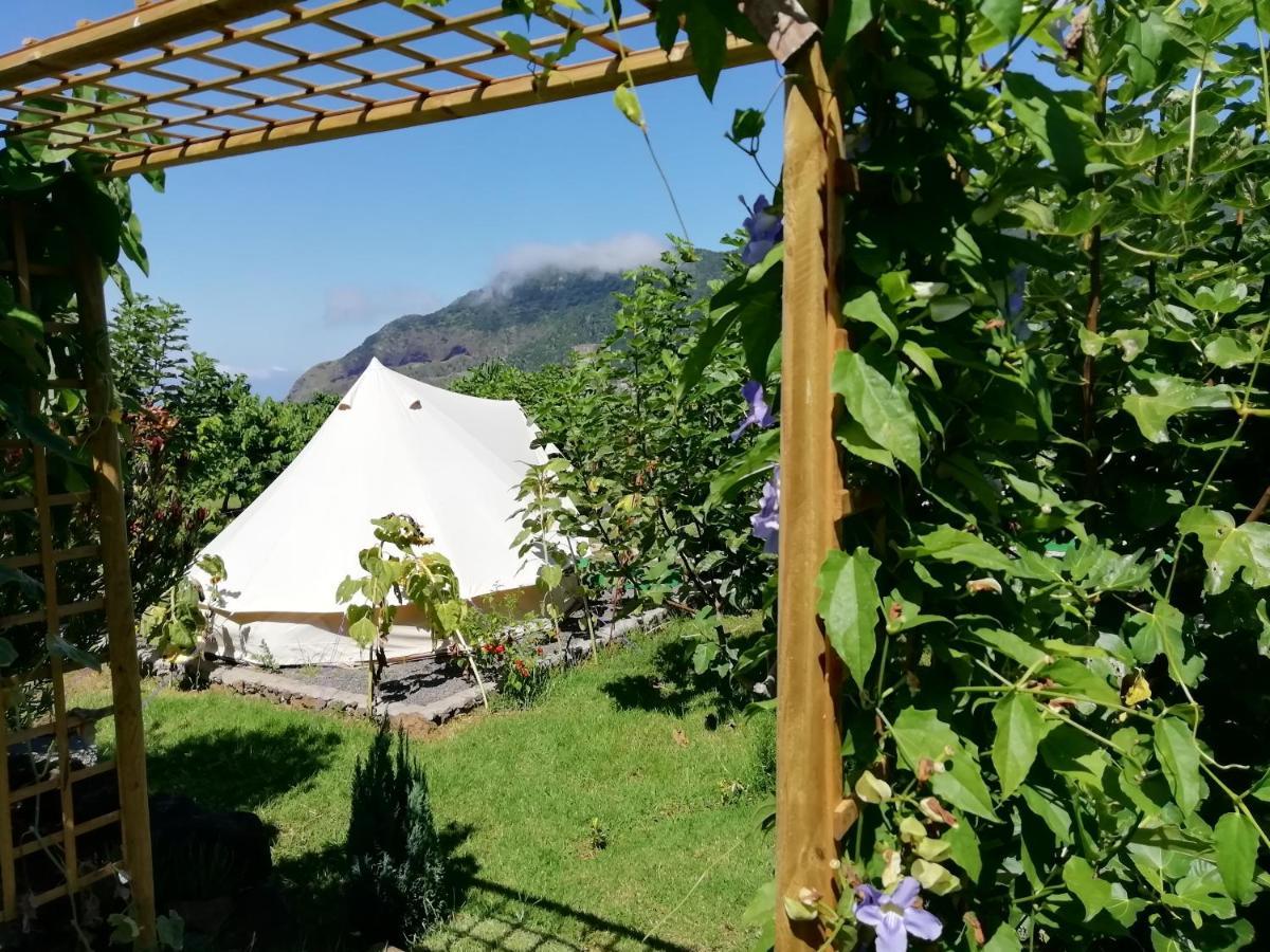 Hostal Granny'S Farm São Vicente Exterior foto