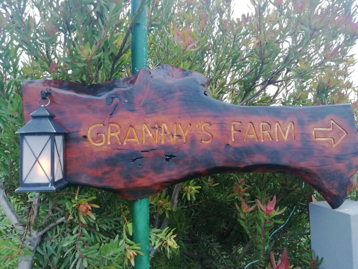 Hostal Granny'S Farm São Vicente Exterior foto