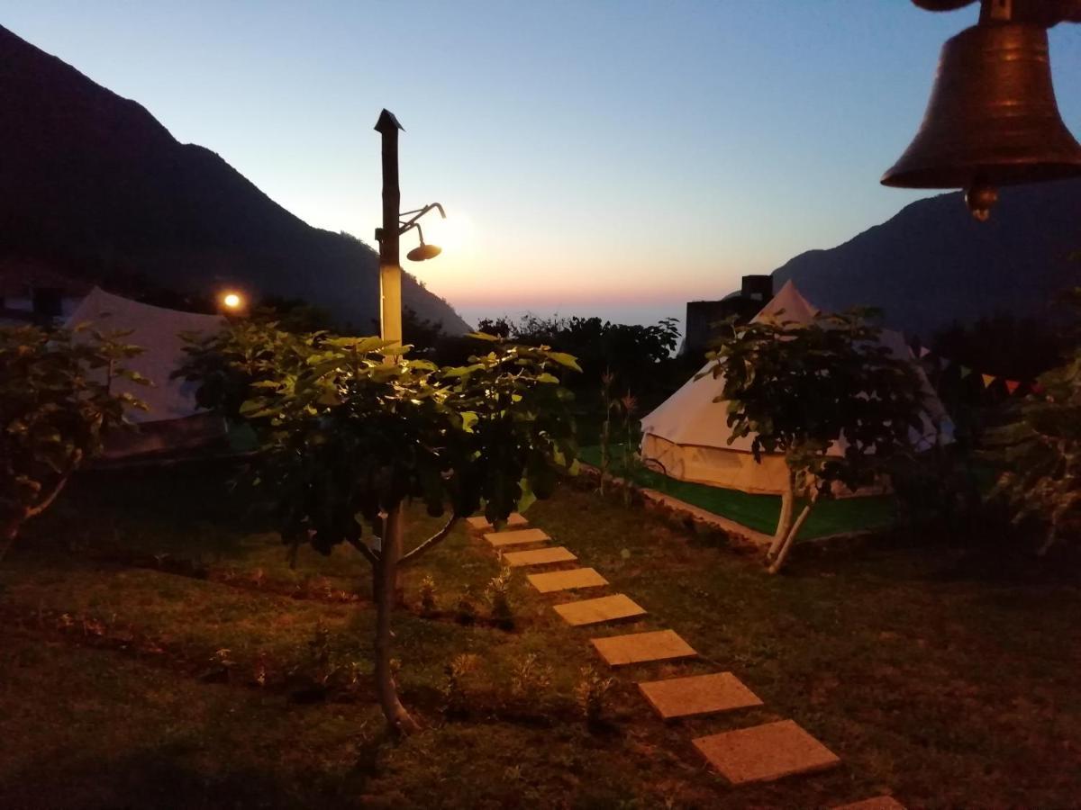 Hostal Granny'S Farm São Vicente Exterior foto