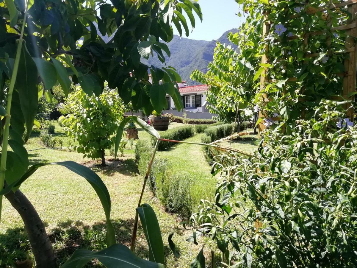 Hostal Granny'S Farm São Vicente Exterior foto