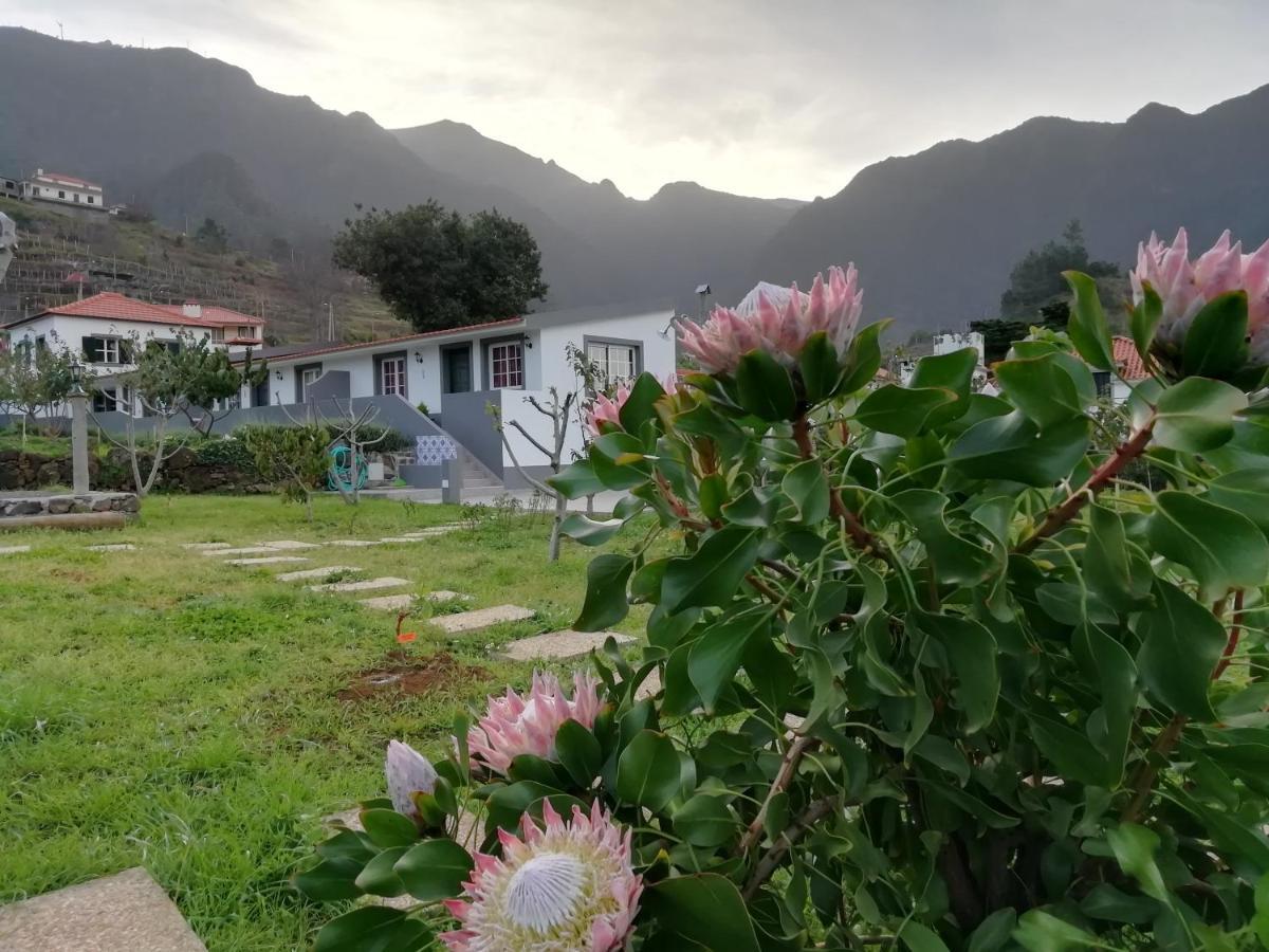 Hostal Granny'S Farm São Vicente Exterior foto